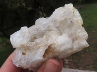 Natural Golden Healer Limonite "Honeycomb" Quartz Specimens  x 12 From Solwezi, Zambia - TopRock