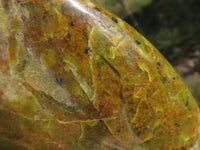 Polished Stunning Green Opal Standing Free Form x 1 From Antsirabe, Madagascar - TopRock