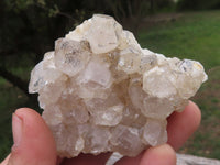 Natural Golden Healer Limonite "Honeycomb" Quartz Specimens  x 12 From Solwezi, Zambia - TopRock