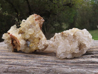 Natural Golden Healer Limonite "Honeycomb" Quartz Specimens  x 12 From Solwezi, Zambia - TopRock