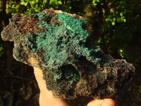 Natural Rare Ball Malachite On Drusy Quartz & Dolomite Specimen x 1 From Kambove, Congo