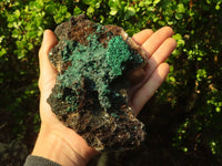 Natural Rare Ball Malachite On Drusy Quartz & Dolomite Specimen x 1 From Kambove, Congo