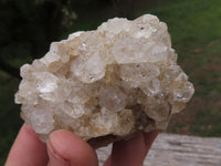 Natural Golden Healer Limonite "Honeycomb" Quartz Specimens  x 12 From Solwezi, Zambia - TopRock