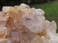 Natural Golden Healer Limonite "Honeycomb" Quartz Specimens  x 12 From Solwezi, Zambia - TopRock