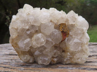 Natural Golden Healer Limonite "Honeycomb" Quartz Specimens  x 12 From Solwezi, Zambia - TopRock