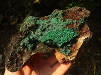 Natural Rare Ball Malachite On Drusy Quartz & Dolomite Specimen x 1 From Kambove, Congo