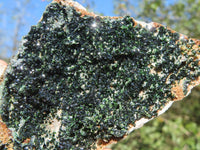 Natural Rare Copper Phosphate Libethenite On Dolomite Clusters x 2 From Shituru, Congo - TopRock