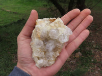 Natural Golden Healer Limonite "Honeycomb" Quartz Specimens  x 12 From Solwezi, Zambia - TopRock