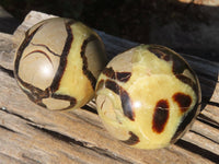 Polished Septaria (Calcite & Aragonite) Spheres  x 2 From Madagascar