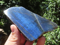 Polished One Side Polished Labradorite Slabs  x 12 From Tulear, Madagascar - TopRock