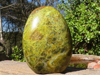 Polished Green Opal Standing Free Form x 1 From Madagascar - Toprock Gemstones and Minerals 