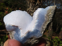 Natural Blue Lace Agate Geode Specimens  x 12 From Nsanje, Malawi - Toprock Gemstones and Minerals 