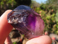 Natural Mini Smokey Amethyst Crystals  x 70 From Chiredzi, Zimbabwe - Toprock Gemstones and Minerals 