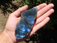 Polished One Side Polished Labradorite Slabs  x 12 From Tulear, Madagascar - TopRock