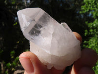 Natural Single Clear Quartz Crystals  x 35 From Mpika, Zambia - Toprock Gemstones and Minerals 