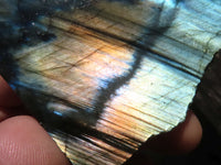 Polished One Side Polished Labradorite Slabs  x 12 From Tulear, Madagascar - TopRock