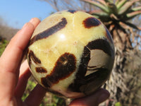 Polished Septaria (Calcite & Aragonite) Spheres  x 2 From Madagascar