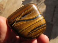 Polished Golden Tigers Eye Free Forms x 12 From Prieska, Northern Cape