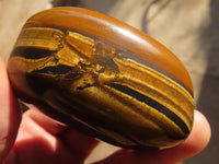 Polished Golden Tigers Eye Free Forms x 12 From Prieska, Northern Cape