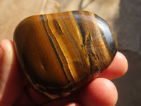 Polished Golden Tigers Eye Free Forms x 12 From Prieska, Northern Cape