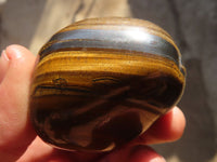 Polished Golden Tigers Eye Free Forms x 12 From Prieska, Northern Cape