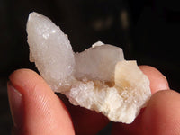 Natural Mixed Spirit Quartz Crystals x 70 From Boekenhouthoek, South Africa