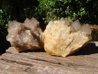 Natural Cascading White Phantom Quartz Clusters  x 2 From Luena, Congo - Toprock Gemstones and Minerals 