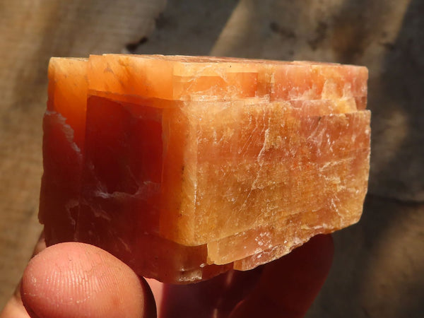 Natural New Sunset Orange Calcite Specimens x 12 From Spitzkop, Namibia