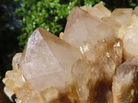 Natural Cascading White Phantom Quartz Clusters  x 2 From Luena, Congo - Toprock Gemstones and Minerals 