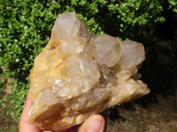 Natural Cascading White Phantom Quartz Clusters  x 2 From Luena, Congo - Toprock Gemstones and Minerals 