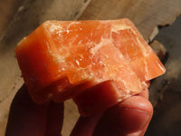 Natural New Sunset Orange Calcite Specimens x 12 From Spitzkop, Namibia