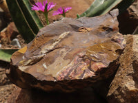 Natural Rough Nguni Jasper Cobbed Specimens  x 11 From Northern Cape, South Africa - TopRock