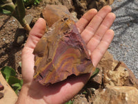 Natural Rough Nguni Jasper Cobbed Specimens  x 11 From Northern Cape, South Africa - TopRock