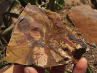 Natural Rough Nguni Jasper Cobbed Specimens  x 11 From Northern Cape, South Africa - TopRock