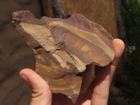 Natural Rough Nguni Jasper Cobbed Specimens  x 11 From Northern Cape, South Africa - TopRock