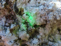 Natural Fluorescent Hyalite Opal Specimen  x 1 From Erongo, Namibia