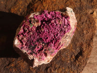 Natural Pink Salrose Cobaltion Dolomite Specimens  x 6 From Kakanda, Congo