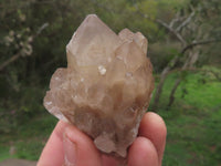 Natural Smokey Quartz Clusters & Crystals  x 20 From Luena, Congo - TopRock