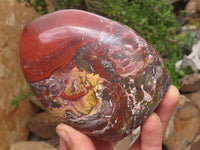 Polished Deep Red Jasper Standing Free Forms  x 2 From Madagascar - TopRock