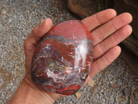 Polished Deep Red Jasper Standing Free Forms  x 2 From Madagascar - TopRock