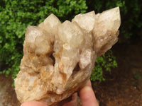 Natural Cascading White Phantom Smokey Quartz Clusters  x 3 From Luena, Congo - TopRock