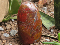 Polished Deep Red Jasper Standing Free Forms  x 2 From Madagascar - TopRock