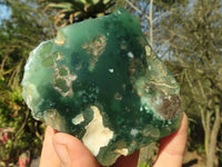 Polished One Side Polished Emerald Mtorolite Plates  x 12 From Zimbabwe - Toprock Gemstones and Minerals 