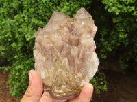 Natural Cascading White Phantom Smokey Quartz Clusters  x 3 From Luena, Congo - TopRock