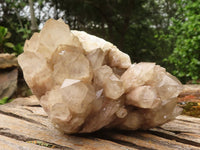 Natural Cascading White Phantom Smokey Quartz Clusters  x 3 From Luena, Congo - TopRock