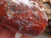 Polished Deep Red Jasper Standing Free Forms  x 2 From Madagascar - TopRock