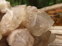 Natural Cascading White Phantom Smokey Quartz Clusters  x 3 From Luena, Congo - TopRock