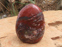 Polished Deep Red Jasper Standing Free Forms  x 2 From Madagascar - TopRock