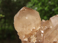 Natural Cascading White Phantom Smokey Quartz Clusters  x 3 From Luena, Congo - TopRock