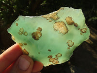 Polished One Side Polished Emerald Mtorolite Plates  x 12 From Zimbabwe - Toprock Gemstones and Minerals 